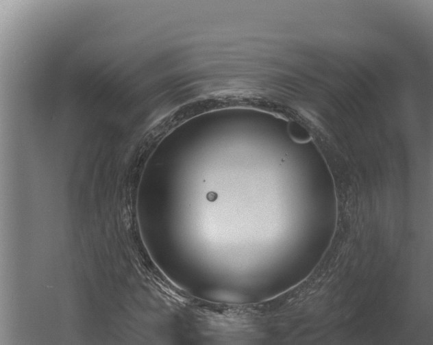 X0000060581015200511071040