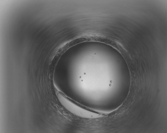 X0000060581016200511071040