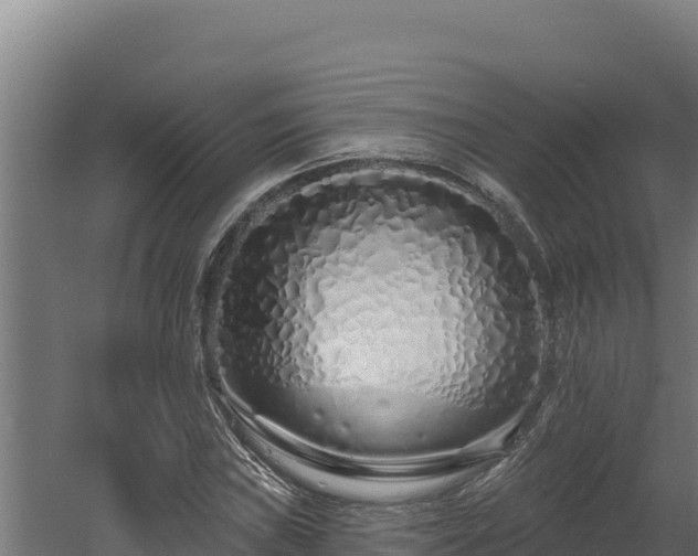 X0000060581019200511071040