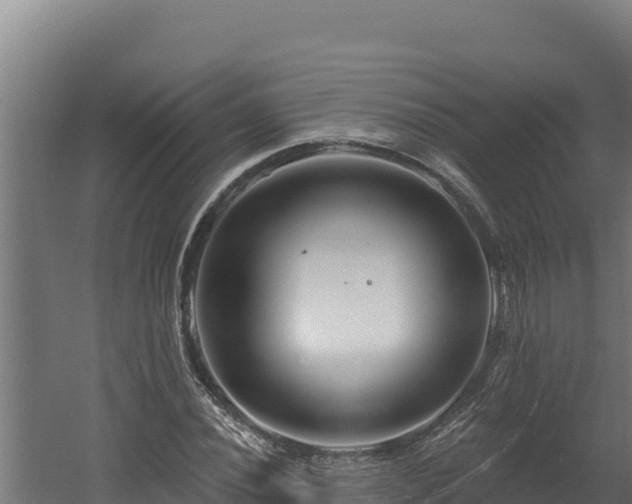 X0000060581020200511071040