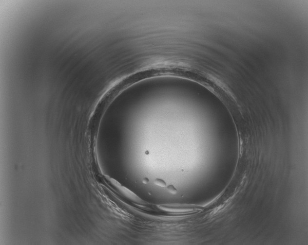 X0000060581021200511071040