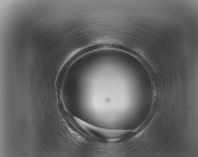 X0000060581022200511071040