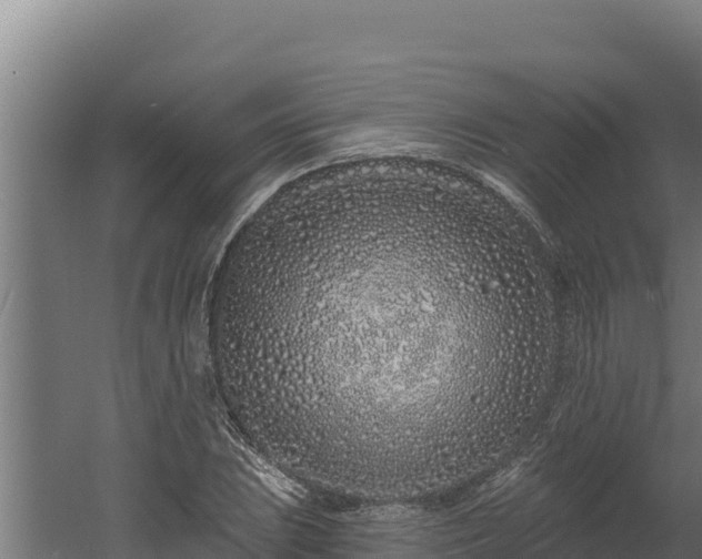 X0000060581023200511071040