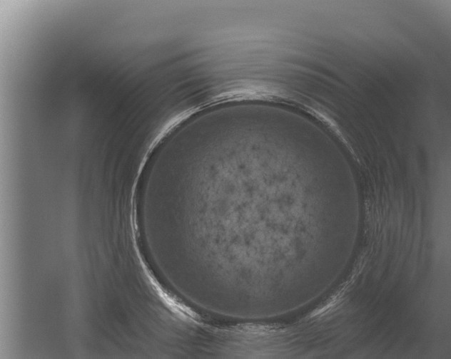 X0000060581034200511071040