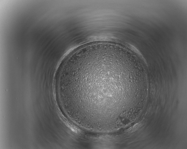 X0000060581035200511071040