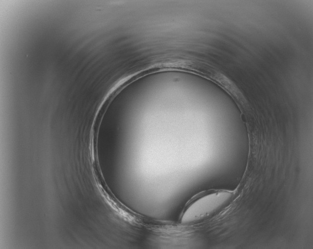 X0000060581036200511071040