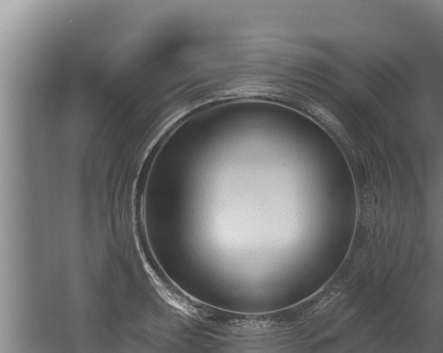 X0000060581039200511071040