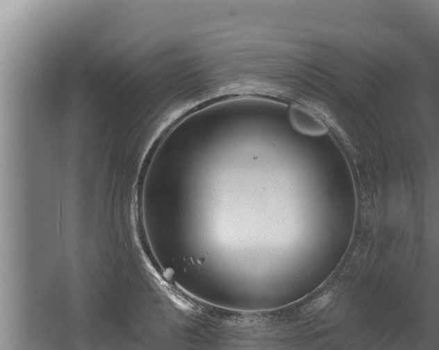 X0000060581040200511071040