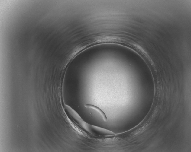 X0000060581041200511071040