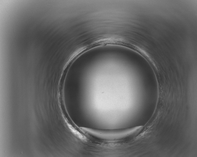 X0000060581042200511071040