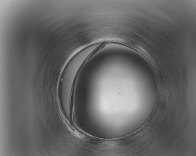 X0000060581044200511071040