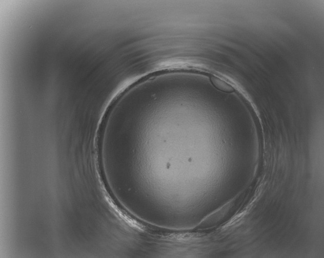 X0000060581045200511071040