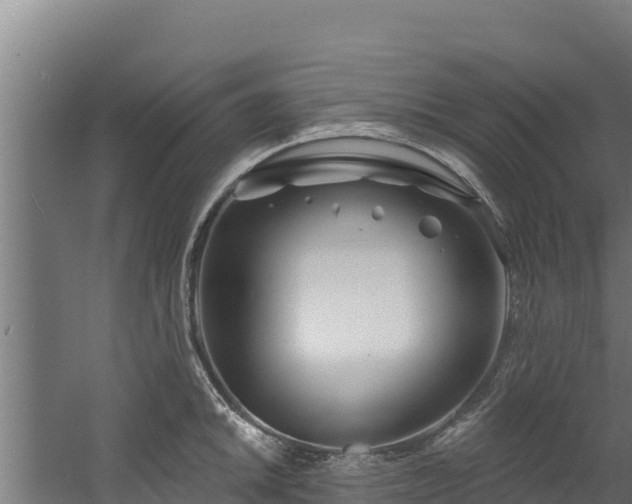 X0000060581046200511071040