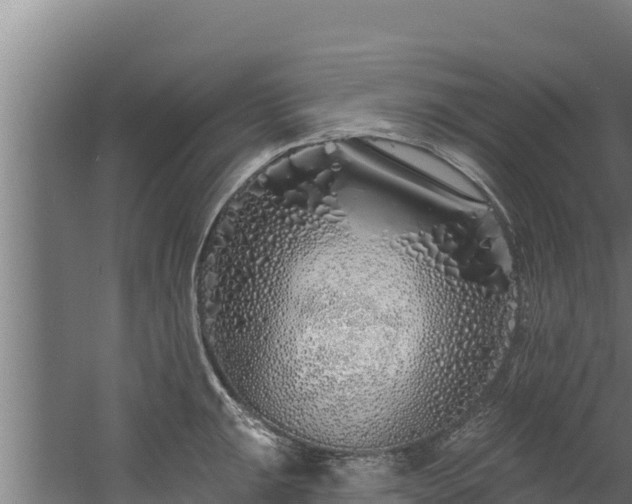 X0000060581047200511071040