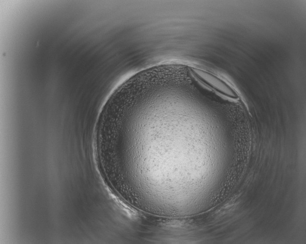 X0000060581048200511071040