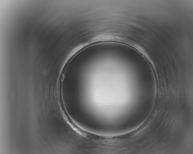 X0000060581053200511071040