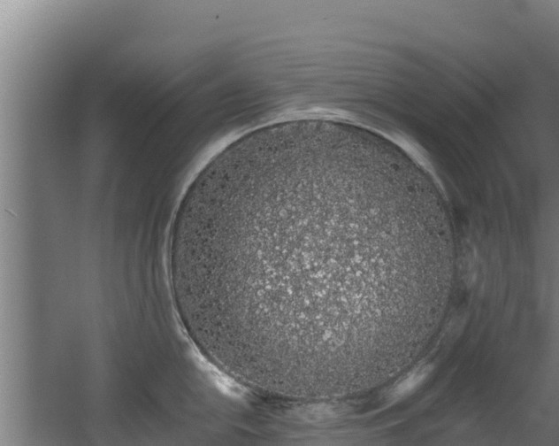 X0000060581054200511071040