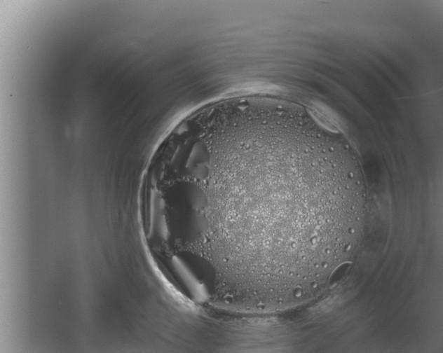 X0000060581055200511071040