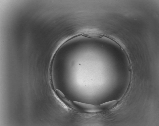 X0000060581056200511071040