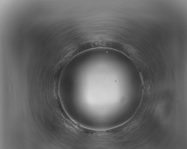 X0000060581060200511071039