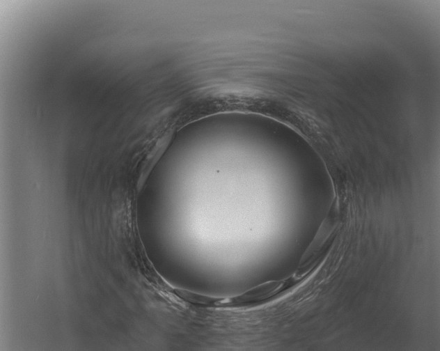 X0000060581061200511071039