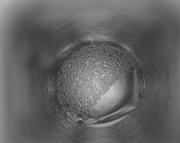 X0000060581063200511071039