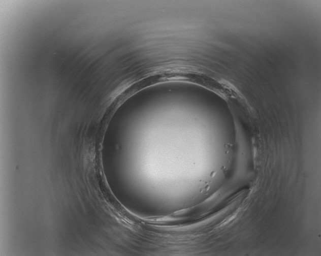 X0000060581065200511071039