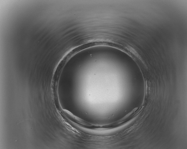 X0000060581068200511071039