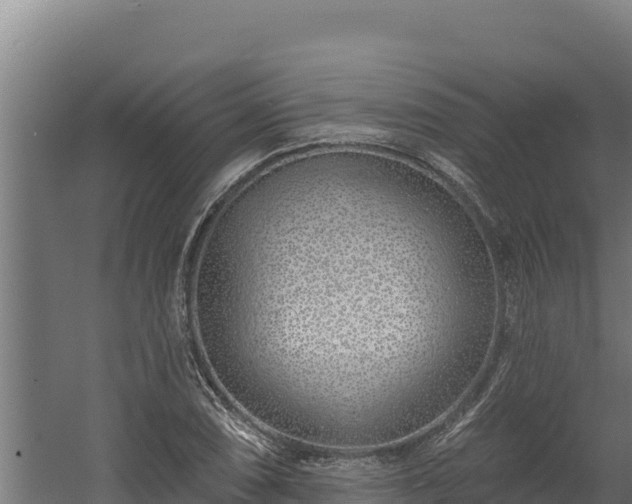 X0000060581074200511071039