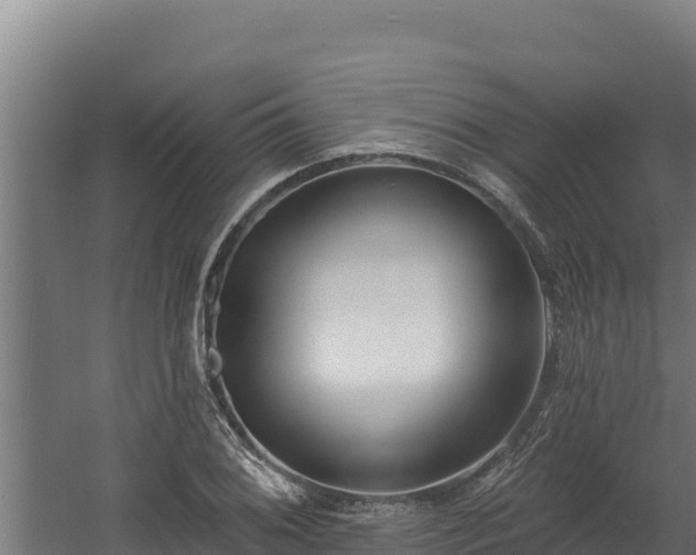 X0000060581076200511071039