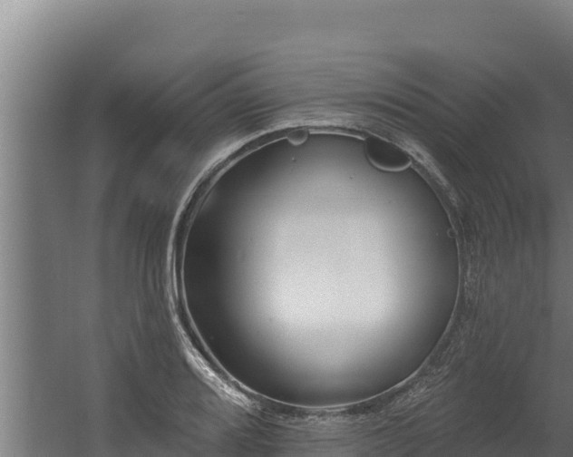 X0000060581080200511071039