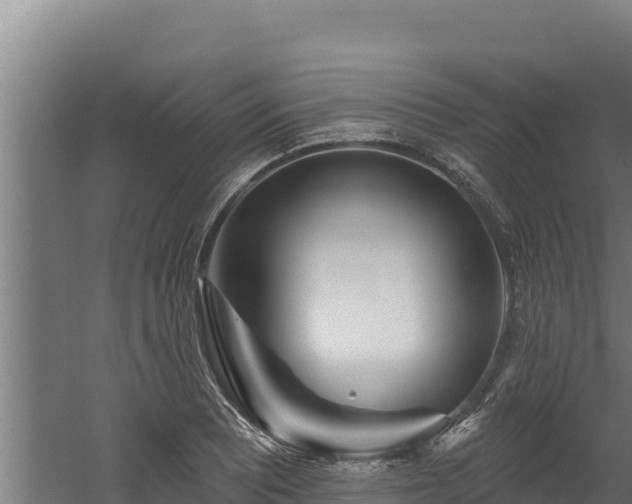 X0000060581081200511071039