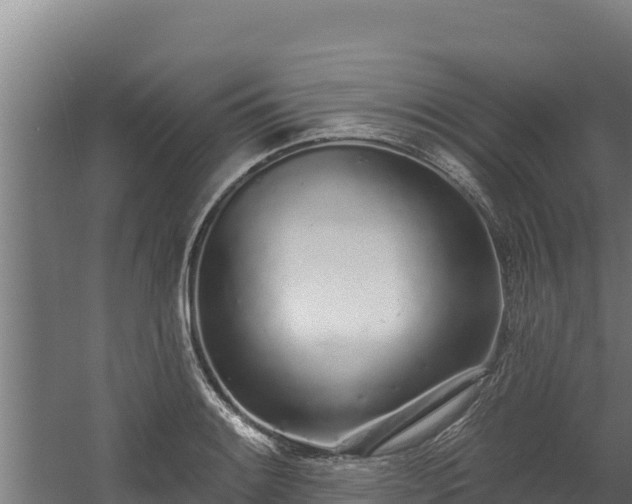 X0000060581084200511071039