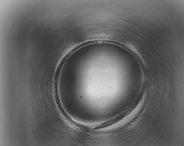 X0000060581085200511071039