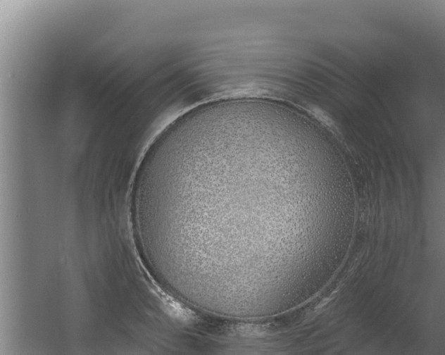 X0000060581086200511071039