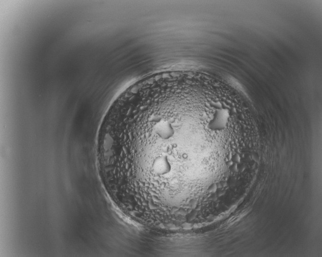 X0000060581087200511071039