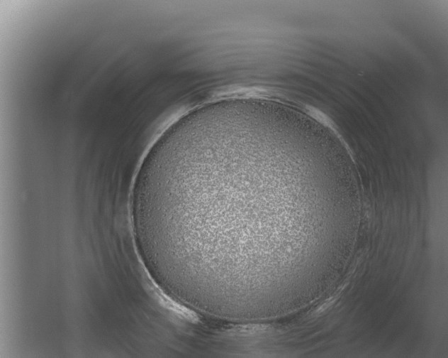 X0000060581090200511071039