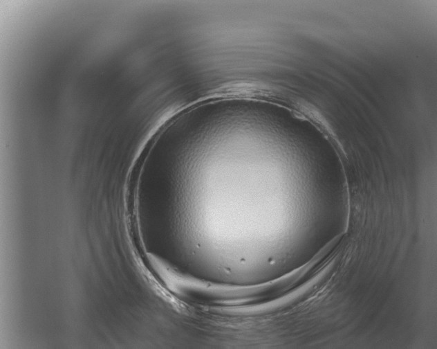 X0000060581091200511071039