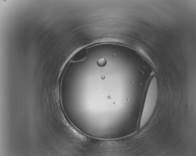 X0000060581092200511071039