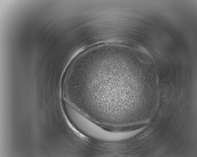 X0000060581095200511071039