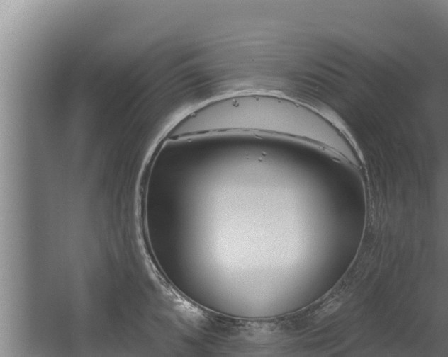 X0000060581096200511071039