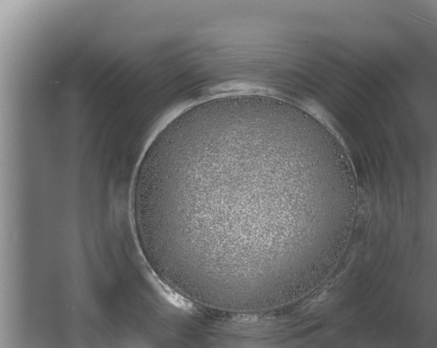 X0000060581098200511071039