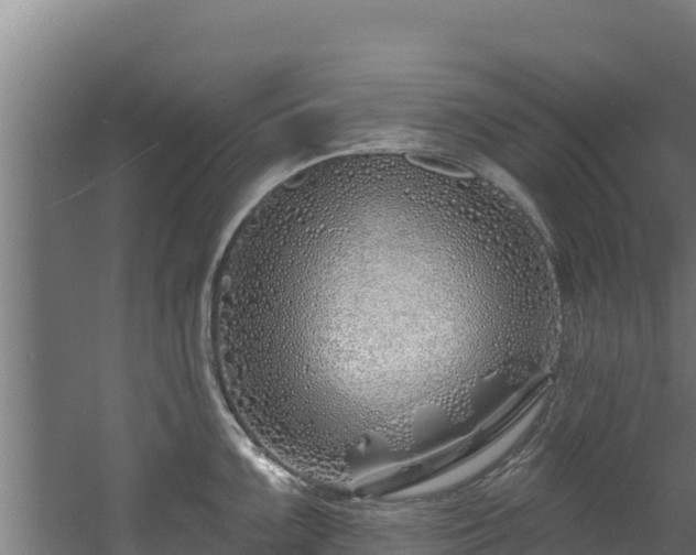 X0000060581099200511071039