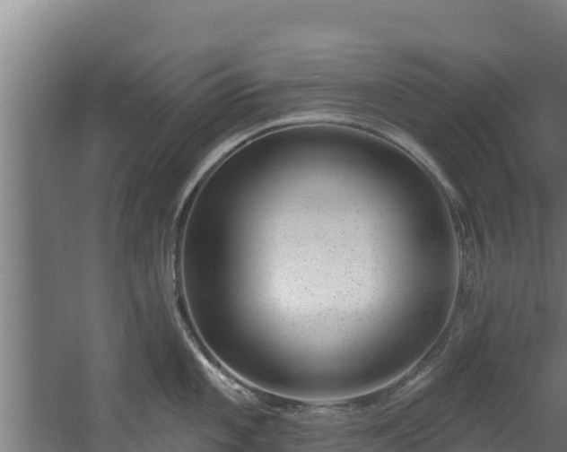 X0000060581101200511071039