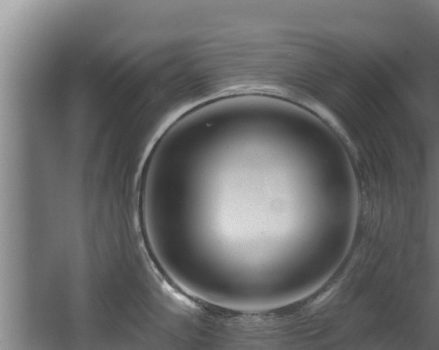 X0000060581102200511071039