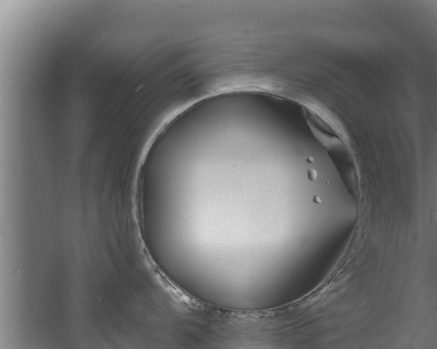 X0000060581104200511071039