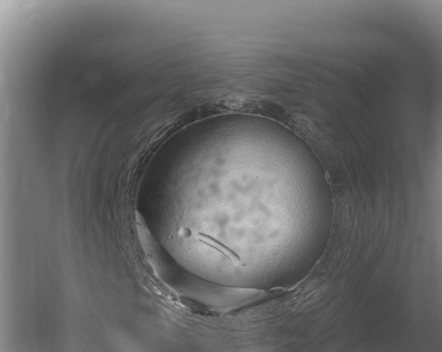 X0000060581105200511071038