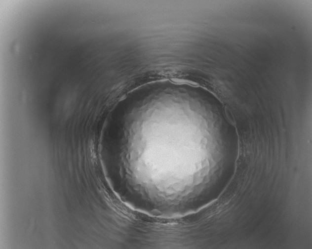 X0000060581106200511071038