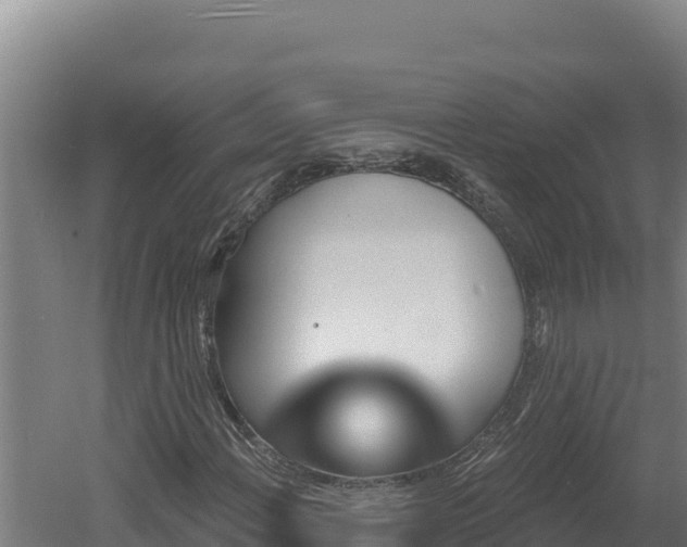 X0000060581108200511071038