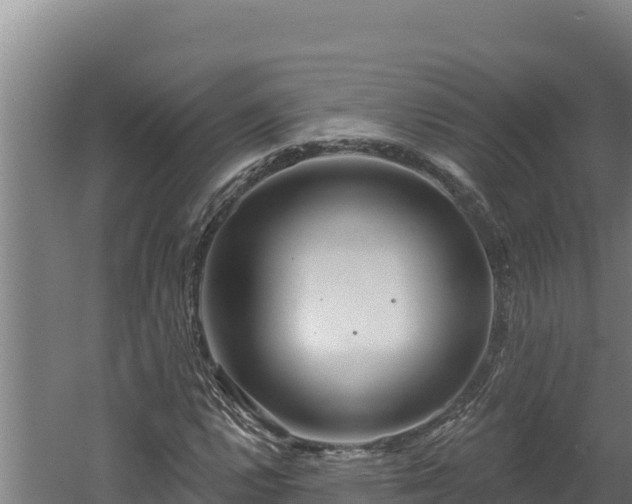 X0000060581112200511071038